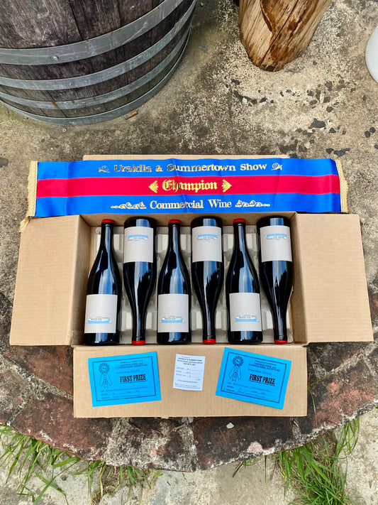 SPRING CLEAN 20% OFF - 2023 Lifeboat Rouge 6 Pack