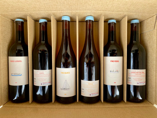 2025 TASTING MIXED 6 PACK