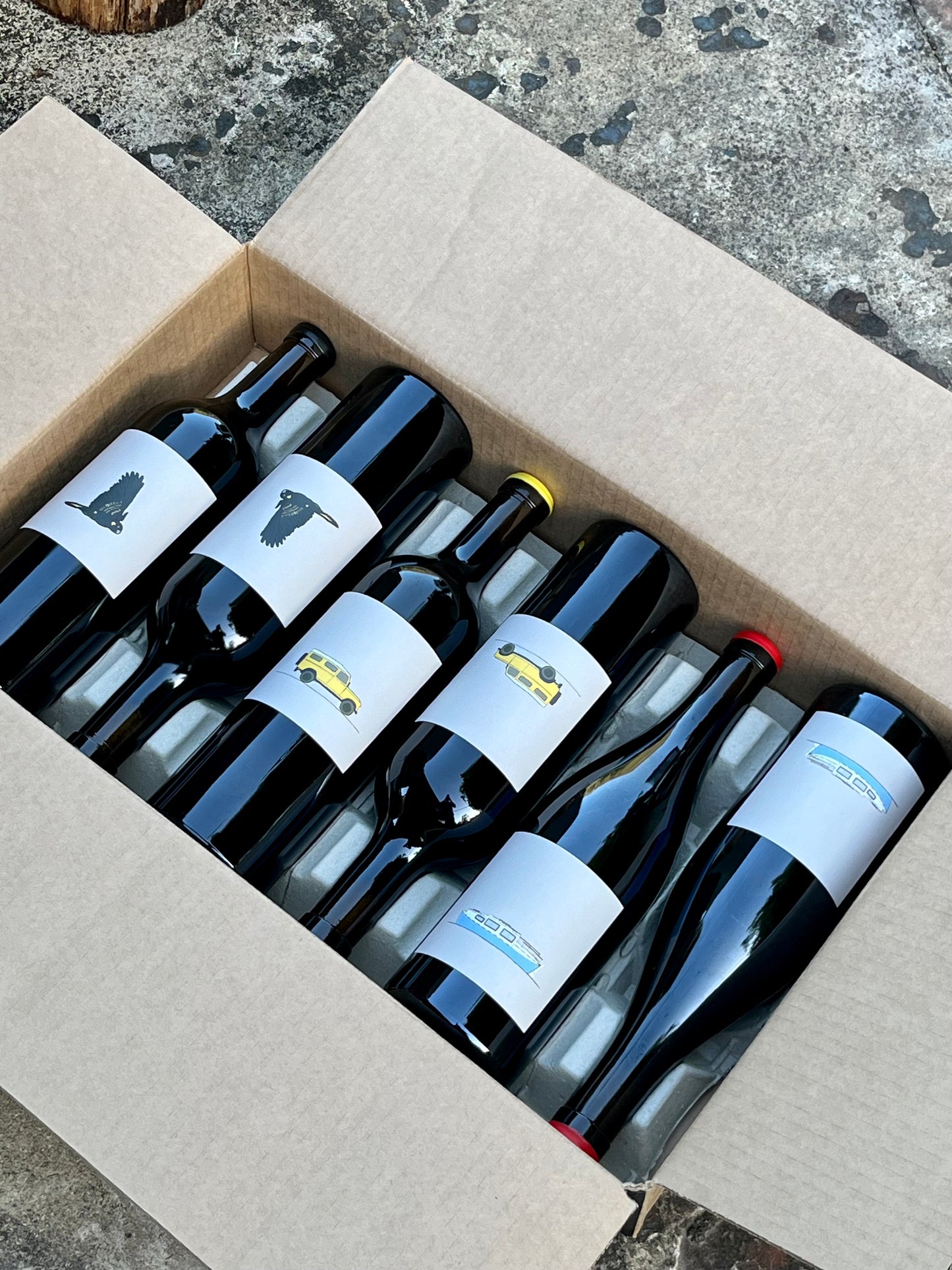 SPRING CLEAN 20% OFF - 2023 Tasting Mixed 6 Pack